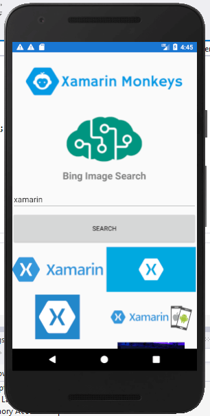 Xamarin.Forms - Bing Image Search Using Cognitive Service